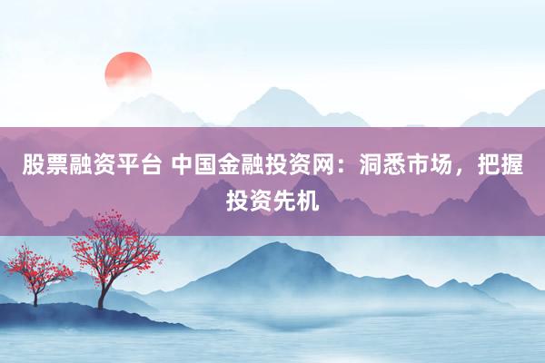 股票融资平台 中国金融投资网：洞悉市场，把握投资先机