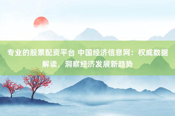 专业的股票配资平台 中国经济信息网：权威数据解读，洞察经济发展新趋势