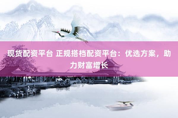 现货配资平台 正规搭档配资平台：优选方案，助力财富增长