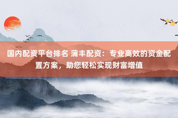 国内配资平台排名 蒲丰配资：专业高效的资金配置方案，助您轻松实现财富增值