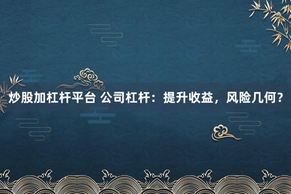 炒股加杠杆平台 公司杠杆：提升收益，风险几何？