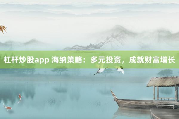 杠杆炒股app 海纳策略：多元投资，成就财富增长