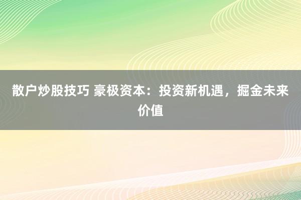 散户炒股技巧 豪极资本：投资新机遇，掘金未来价值