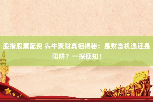 股指股票配资 犇牛聚财真相揭秘：是财富机遇还是陷阱？一探便知！