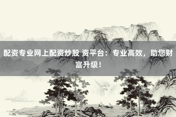 配资专业网上配资炒股 资平台：专业高效，助您财富升级！