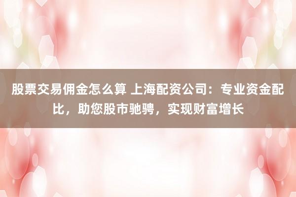 股票交易佣金怎么算 上海配资公司：专业资金配比，助您股市驰骋，实现财富增长