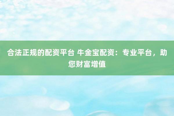 合法正规的配资平台 牛金宝配资：专业平台，助您财富增值