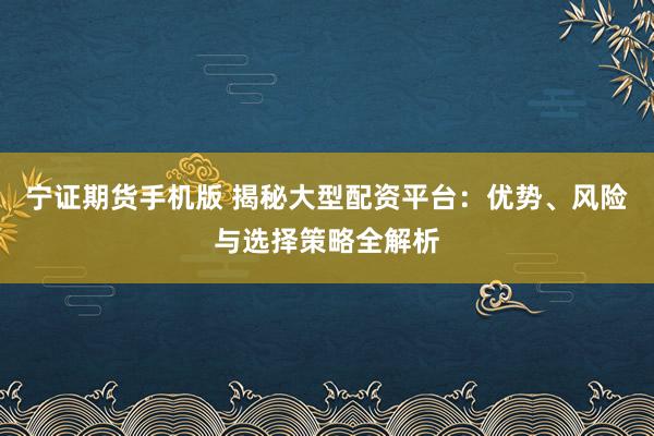 宁证期货手机版 揭秘大型配资平台:优势、风险与选择策略全解析
