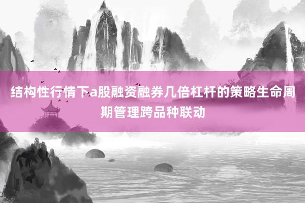 结构性行情下a股融资融券几倍杠杆的策略生命周期管理跨品种联动