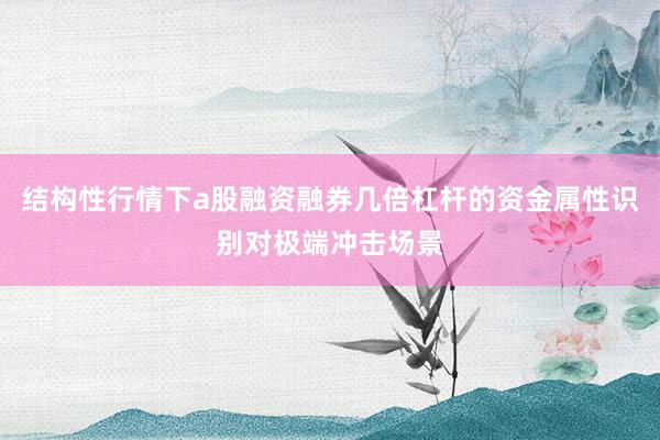 结构性行情下a股融资融券几倍杠杆的资金属性识别对极端冲击场景