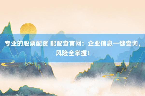 专业的股票配资 配配查官网:企业信息一键查询,风险全掌握!