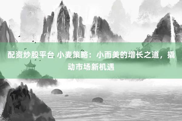 配资炒股平台 小麦策略：小而美的增长之道，撬动市场新机遇