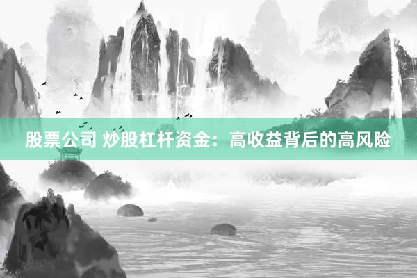 股票公司 炒股杠杆资金：高收益背后的高风险